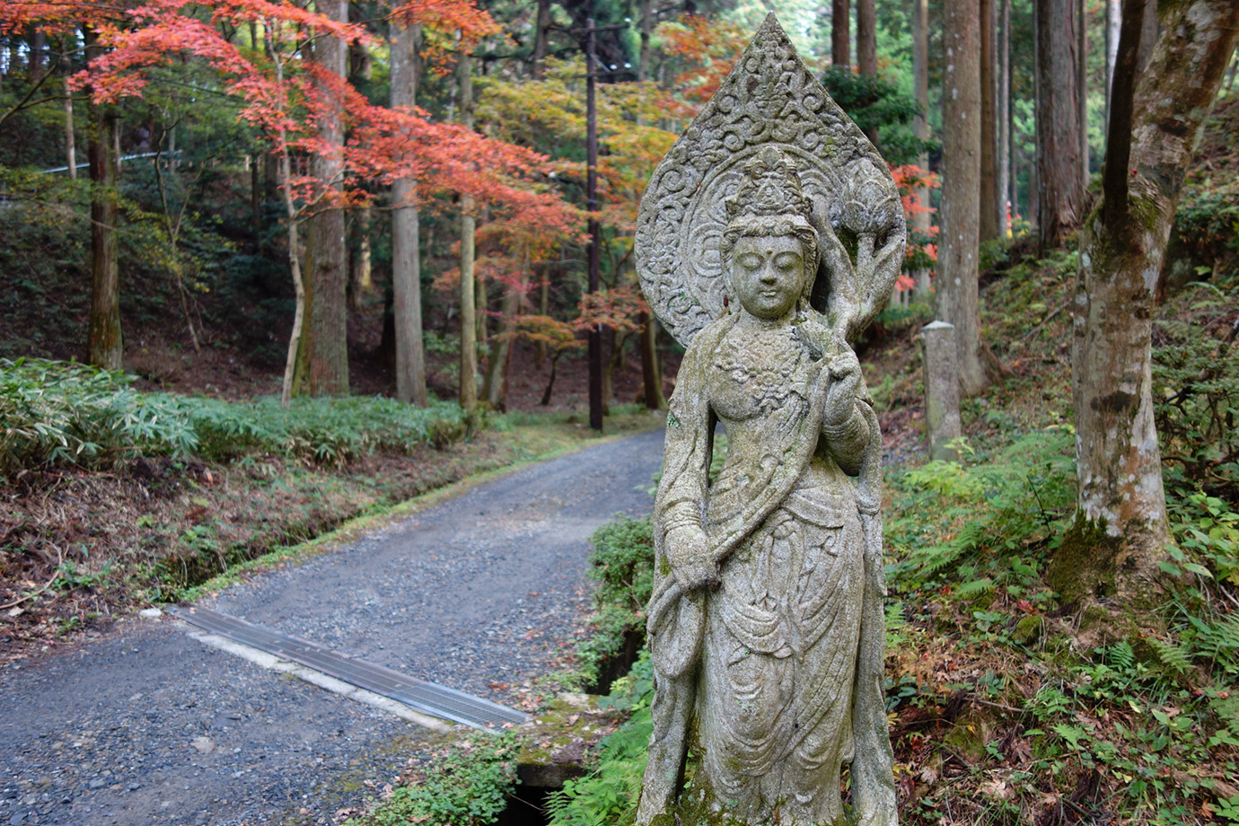 京都-比叡山橫川中堂